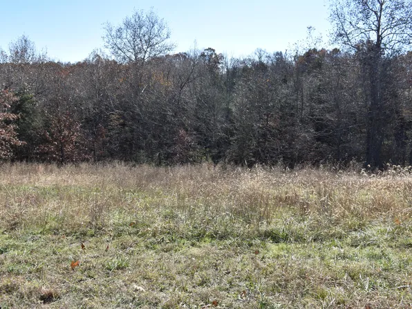 Lot 135 Panorama Drive, Cape Fair, MO 65624