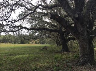 38355 Taylor Rd, Myakka City, FL 34251