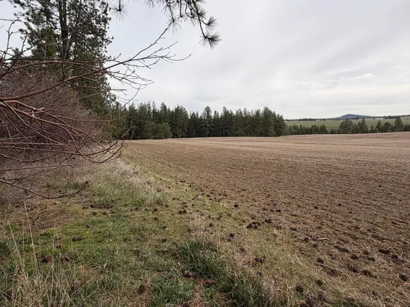 Sandhill Rd, Winchester, ID 83555