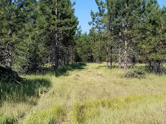 4th image of Nna Ponderesa Ranch Rd