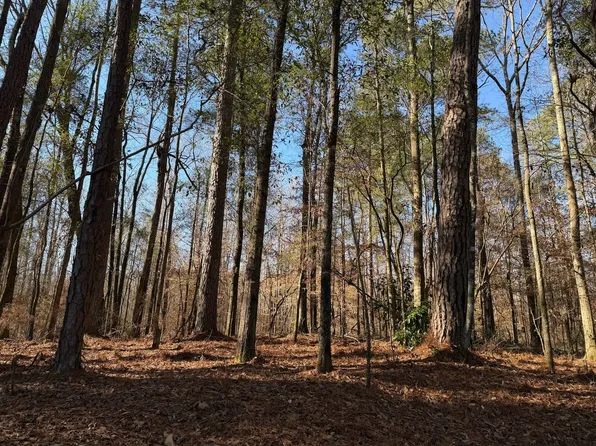 Long Meadow Dr, Cottondale, AL 35453