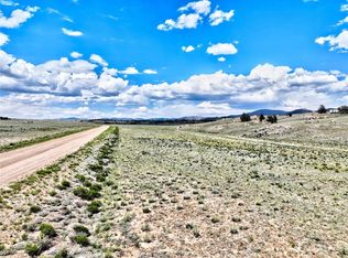 656 Ute Trce, Hartsel, CO 80449