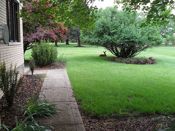5th image of 376 E Parkhaven Dr