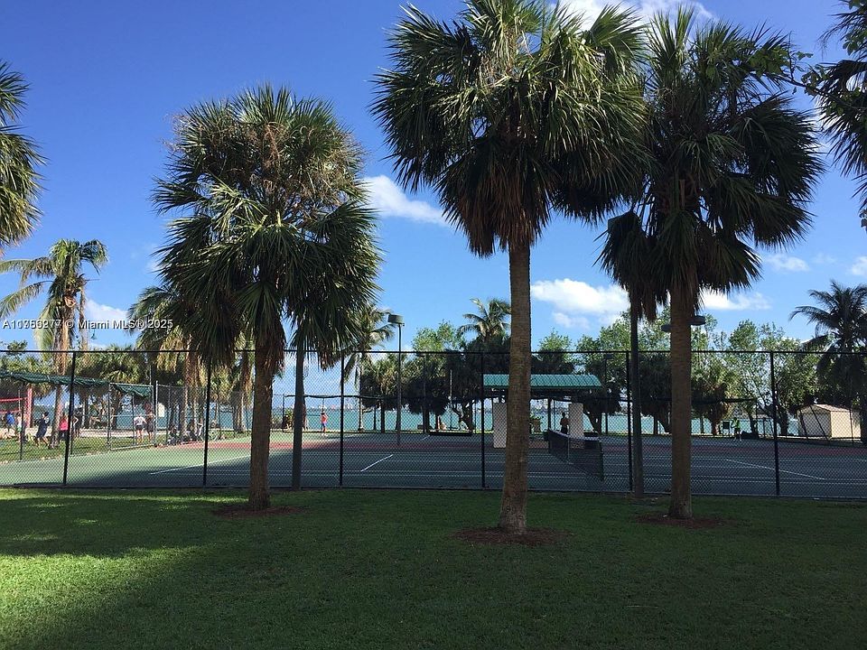 1st image of 1750 N Bayshore Dr APT 1603