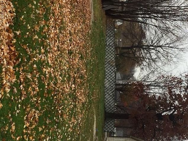 2nd image of 1245 E 351st St