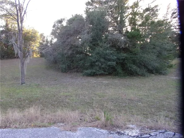 1696 S Valerie Point, Inverness, FL 34452