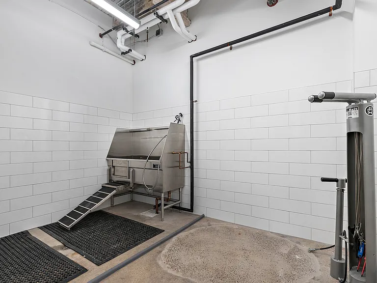 Pet Wash Station