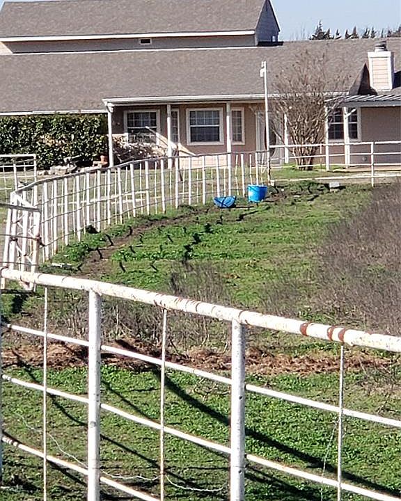 2nd image of 2819 Nokomis Rd