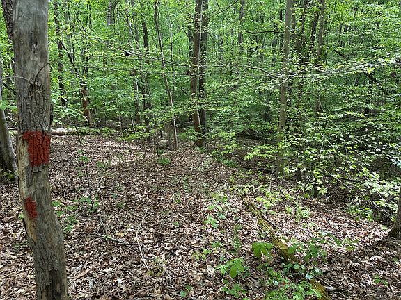 5th image of LOT 17 Nineteen Lakefront Dr
