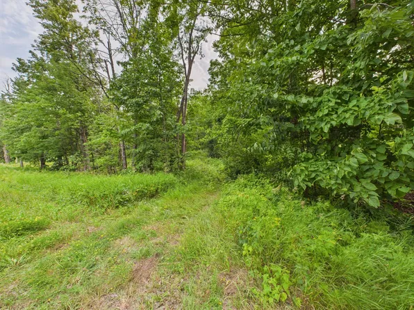 36.5 Ac Hwy #139, Argonne, WI 54511
