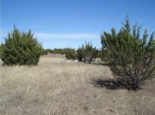 9800 County Road 272, Bertram, TX 78605