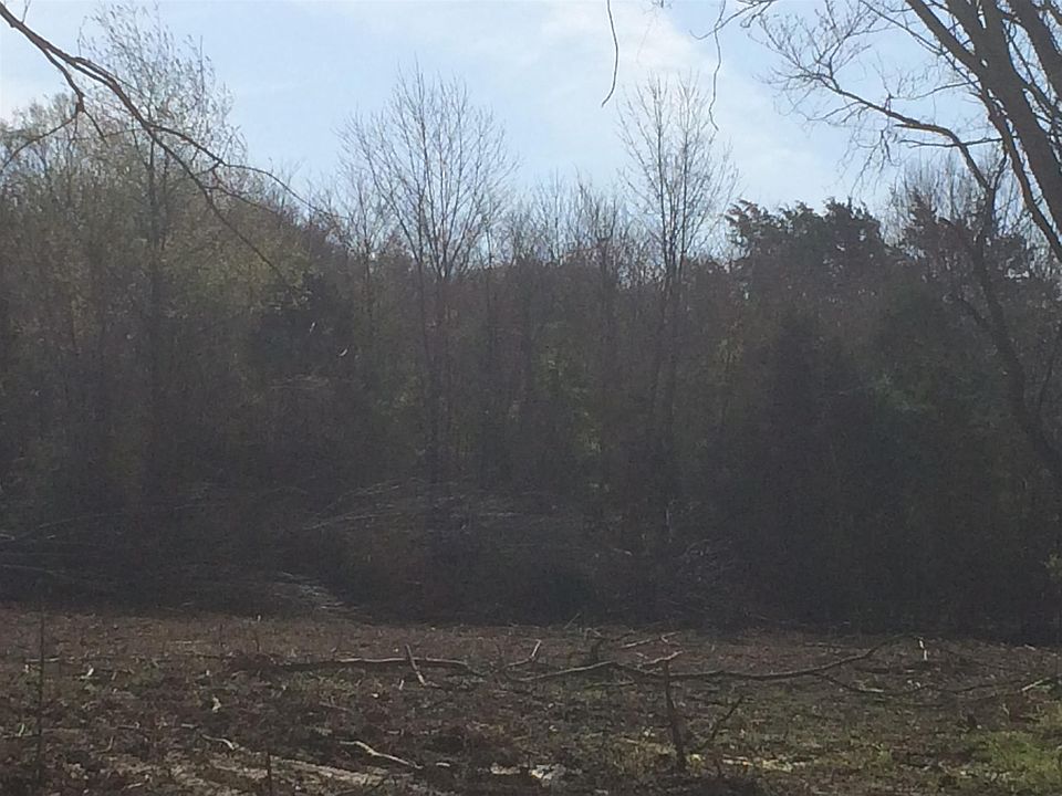 2nd image of 533 Bellwood Rd Lot 8