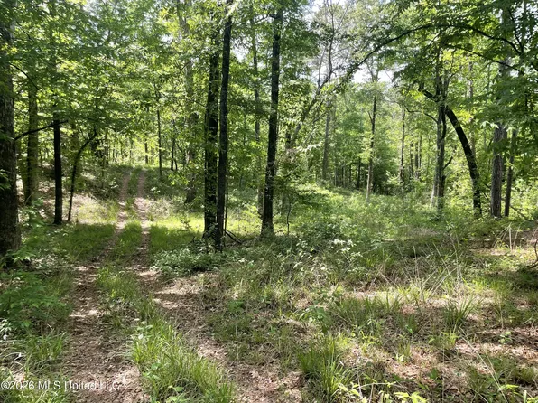 420 River Road Dr SE, Bogue Chitto, MS 39629