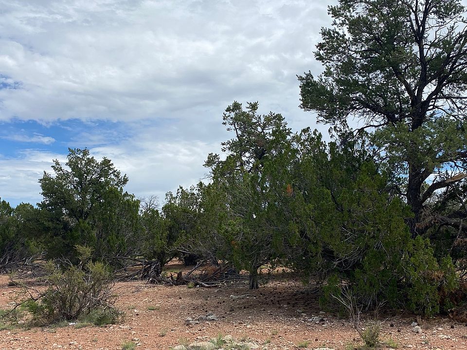 1st image of 54769 N Echo Ln