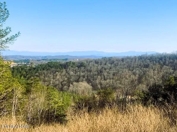 TRACT 4 Owl Hollow Rd SW, Mc Donald, TN 37353
