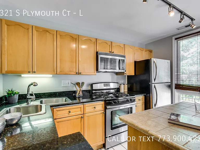 1321 S Plymouth Ct #L — Photo 5