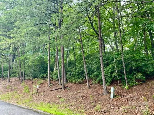 0 Quail Ridge Rd #164, Lake Lure, NC 28746