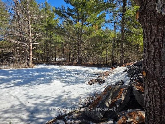 4th image of 590 Love Rd