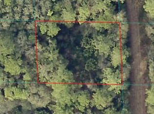 0 NE 66th Ct #61, Citra, FL 32113