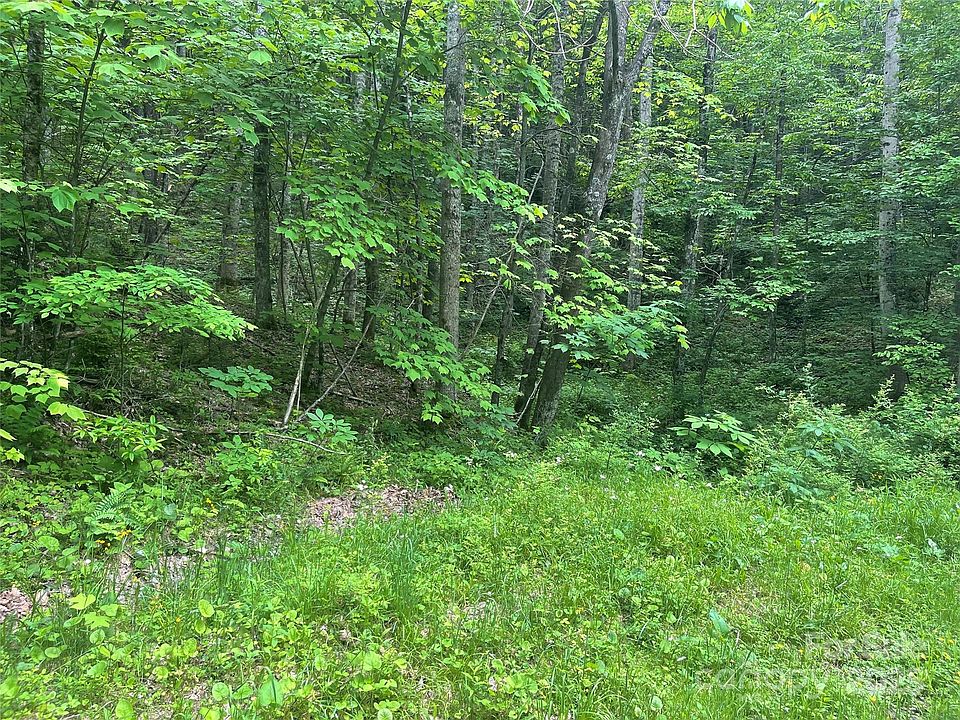 2nd image of 34 Buckeye Creek Rd