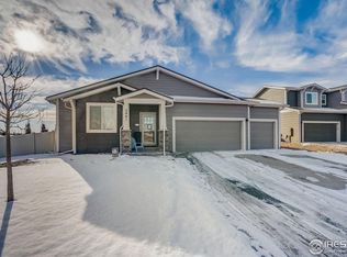 3981 River Birch St, Wellington, CO 80549