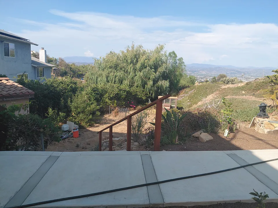 401 Washingtonia Dr