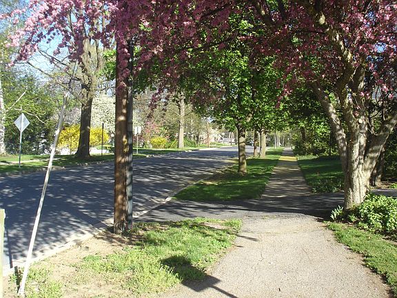 NEIGHBORHOOD SIDEWALKS