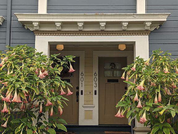 Entrance. Night blooming Trumpet Vine.