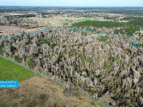 3rd image of Farley Green Rd