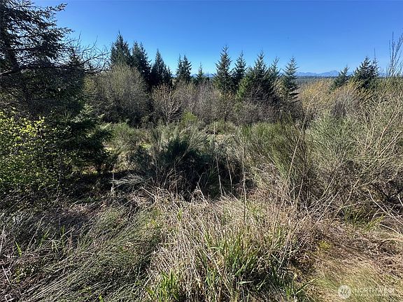 4th image of 0 TR 1&2 E Agate Road
