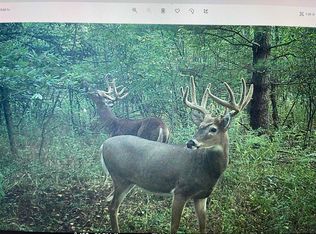 4400 N Deer Ln, Mosinee, WI 54455