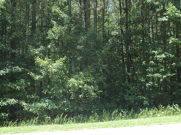 4th image of 80 Green Valley Dr Lot 80