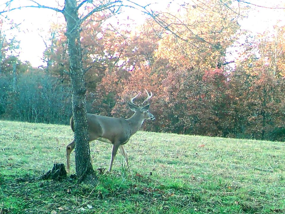 1st image of Tbd Foxtail Trail