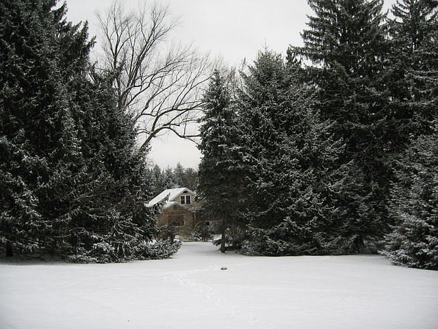 home on 4,09 acre 