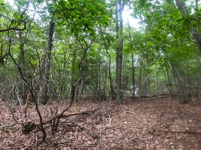 80 Clay Pit Rd, Sag Harbor, NY, 11963