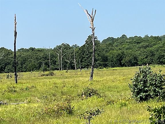 5th image of N Highway 69 #75
