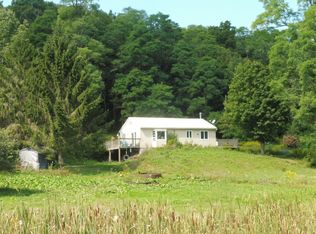 295 Card Rd, Mount Vision, NY 13810