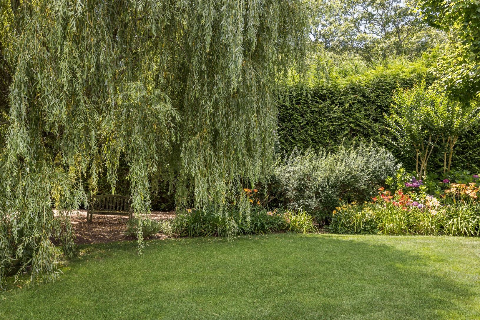Sweet bench under the weeping willow