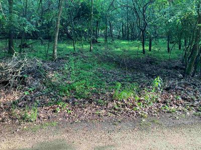 Echo Lake Rd, Wild Rose, WI, 54984