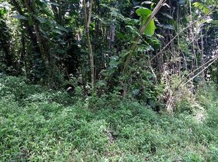 Pakalana Rd LOT 409, Pahoa, HI 96778