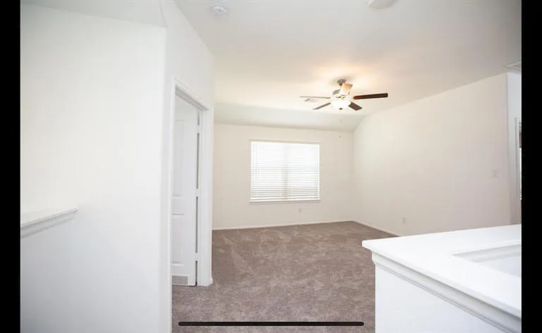 19044 Pinewood Grove Trl — Photo 15