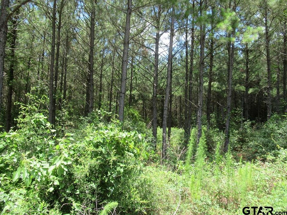 1st image of LOT 55 County Road 1060