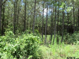 LOT 55 County Road 1060, Center, TX 75935