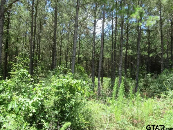LOT 55 County Road 1060, Center, TX 75935