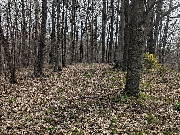 2nd image of Lot 2 732nd Avenue