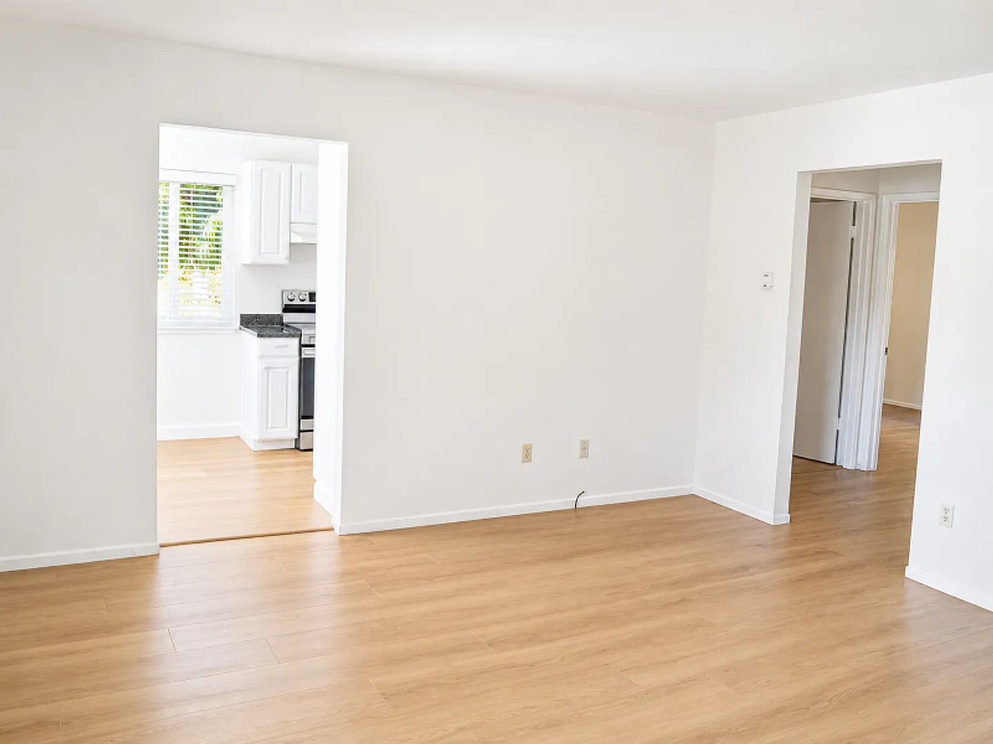 Reed31 — Photo 3