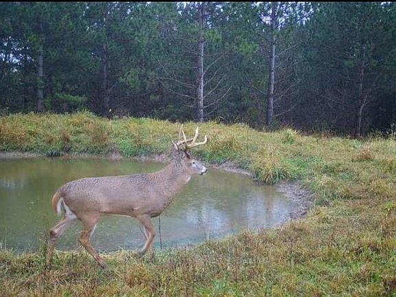 3rd image of 0 Serum Road
