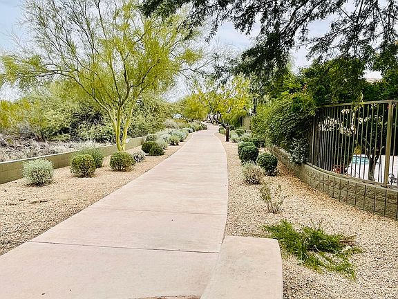 Walking path and backyard of the house on the right