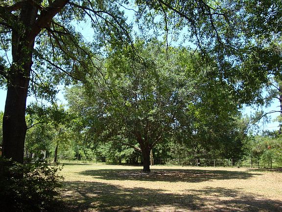 BEAUTIFUL OAKS