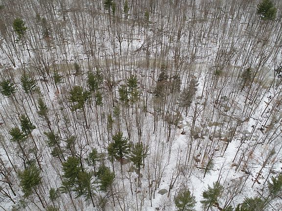 Shows Water way Ducks